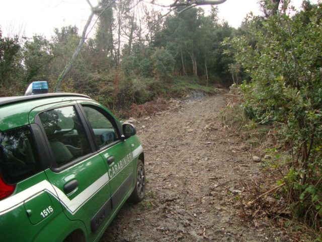 L'immagine attuale non ha un testo alternativo. Il nome del file รจ: forestali-e1537626919994.jpeg