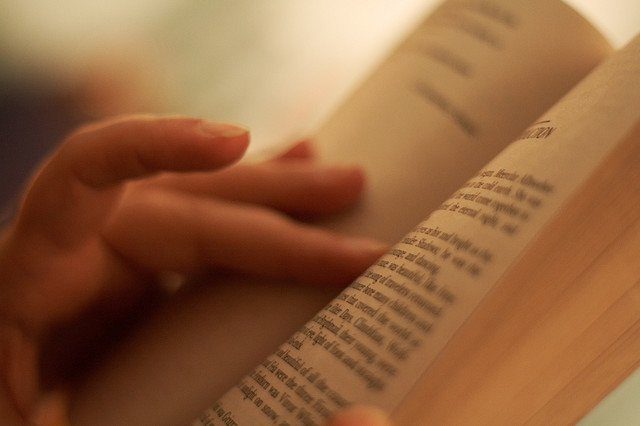 L'immagine attuale non ha un testo alternativo. Il nome del file è: libro.jpg