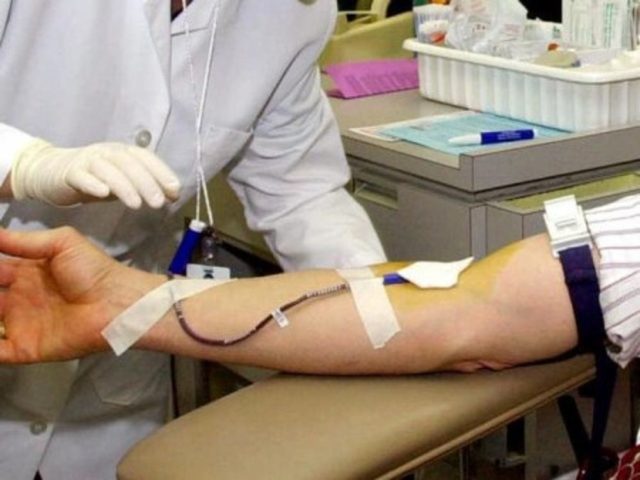 L'immagine attuale non ha un testo alternativo. Il nome del file è: sangue.jpg