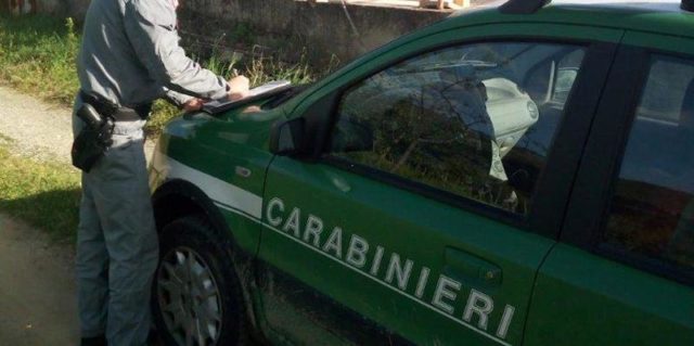 L'immagine attuale non ha un testo alternativo. Il nome del file รจ: forestale-1.jpg