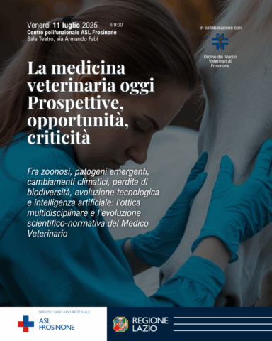 L'immagine attuale non ha un testo alternativo. Il nome del file รจ: FROSINONE.png