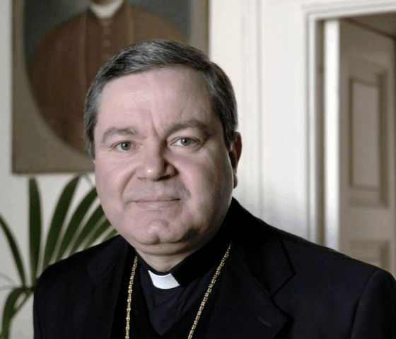 L'immagine attuale non ha un testo alternativo. Il nome del file è: santo-maricano.png