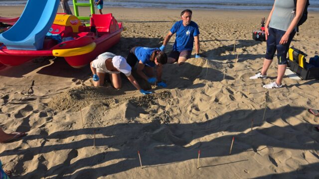 L'immagine attuale non ha un testo alternativo. Il nome del file รจ: spiaggia.jpeg