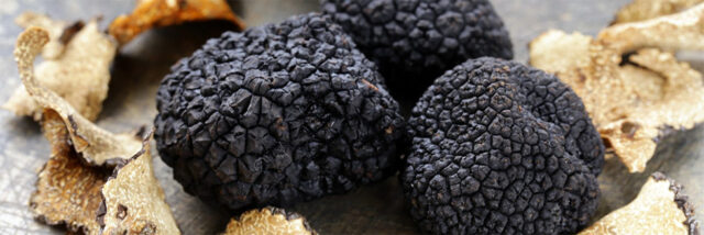 L'immagine attuale non ha un testo alternativo. Il nome del file รจ: tartufo.jpg