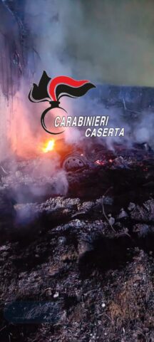 L'immagine attuale non ha un testo alternativo. Il nome del file è: CARABINIERI-4.jpg