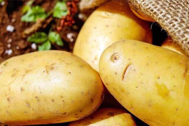 L'immagine attuale non ha un testo alternativo. Il nome del file è: PATATE-1.jpg