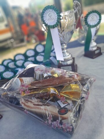 L'immagine attuale non ha un testo alternativo. Il nome del file è: arsial.jpg