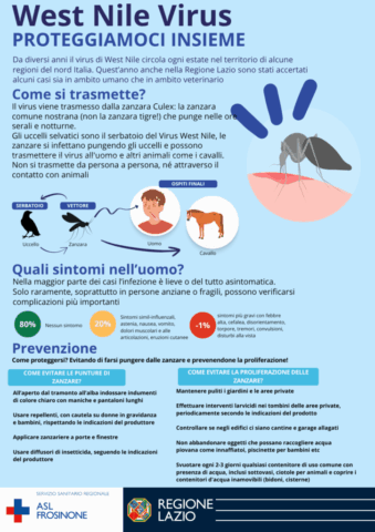L'immagine attuale non ha un testo alternativo. Il nome del file è: frosinone-asl.png