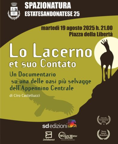 L'immagine attuale non ha un testo alternativo. Il nome del file è: lacerno.jpg