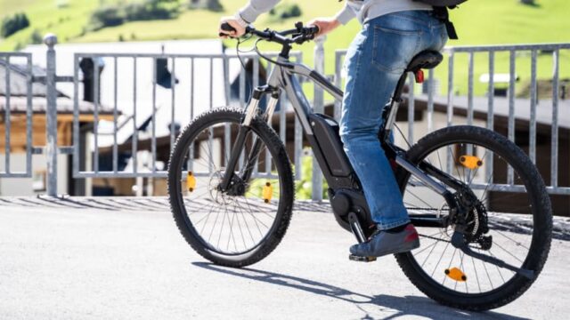 L'immagine attuale non ha un testo alternativo. Il nome del file è: bici-elettrica.jpg