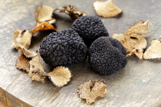 L'immagine attuale non ha un testo alternativo. Il nome del file è: TARTUFO.jpg