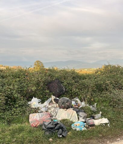 L'immagine attuale non ha un testo alternativo. Il nome del file è: fareverde.jpg