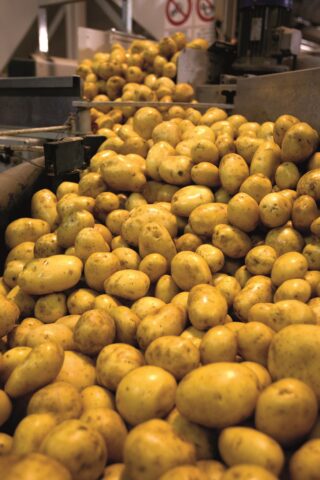 L'immagine attuale non ha un testo alternativo. Il nome del file รจ: CELANO.jpg