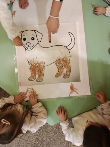 L'immagine attuale non ha un testo alternativo. Il nome del file è: PET.jpg