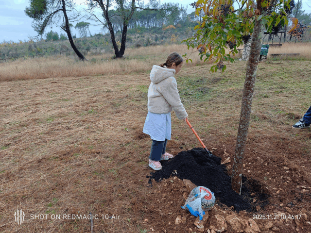 L'immagine attuale non ha un testo alternativo. Il nome del file è: fareverde.png