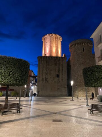 L'immagine attuale non ha un testo alternativo. Il nome del file รจ: fondi.jpg