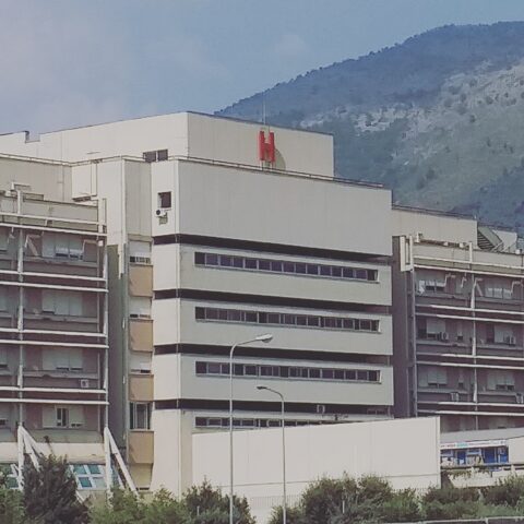 L'immagine attuale non ha un testo alternativo. Il nome del file è: fondi-ospedale.jpg