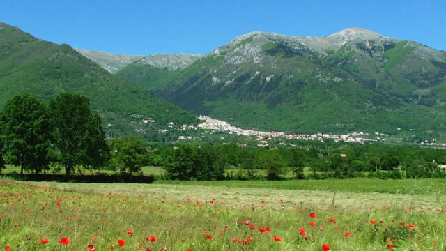 L'immagine attuale non ha un testo alternativo. Il nome del file è: sandonato.jpg