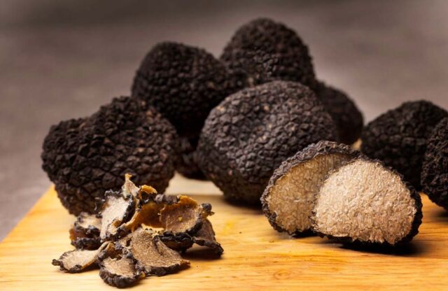 L'immagine attuale non ha un testo alternativo. Il nome del file è: tartufo-1.jpg