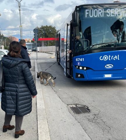 L'immagine attuale non ha un testo alternativo. Il nome del file è: POLIZIA-FROSINONE.jpg