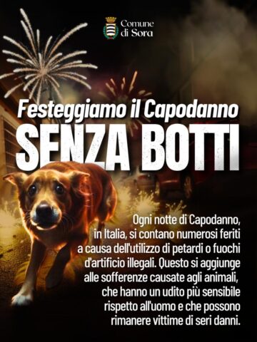 L'immagine attuale non ha un testo alternativo. Il nome del file è: SORA-2.jpg