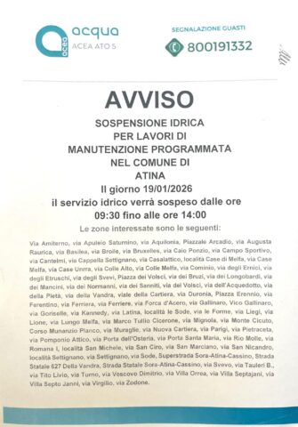 L'immagine attuale non ha un testo alternativo. Il nome del file è: ACEA.jpg