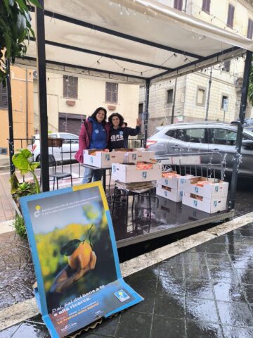 L'immagine attuale non ha un testo alternativo. Il nome del file รจ: AVIS-CECCANO.jpg