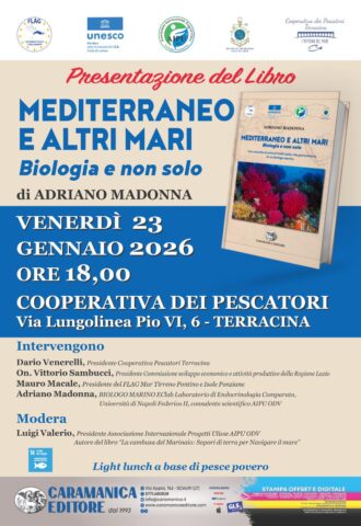 L'immagine attuale non ha un testo alternativo. Il nome del file è: TERRACINA.jpeg