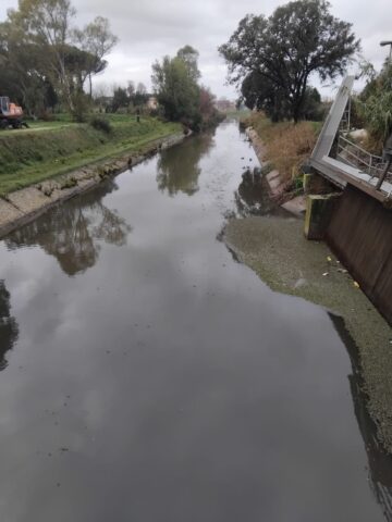 L'immagine attuale non ha un testo alternativo. Il nome del file è: anbi.jpg