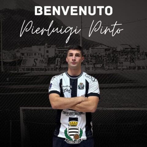 L'immagine attuale non ha un testo alternativo. Il nome del file è: pinto.jpg