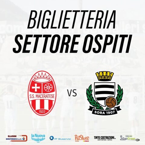 L'immagine attuale non ha un testo alternativo. Il nome del file è: sora-1.jpg