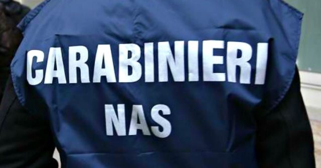 L'immagine attuale non ha un testo alternativo. Il nome del file รจ: NAS-1.jpg