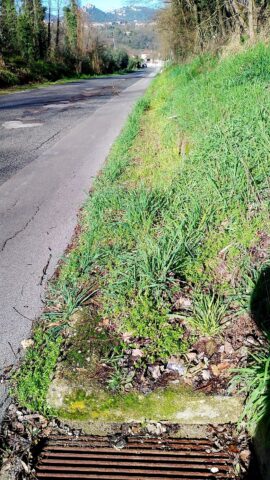 L'immagine attuale non ha un testo alternativo. Il nome del file è: SP121.jpg