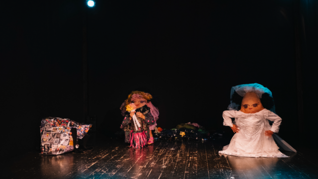 L'immagine attuale non ha un testo alternativo. Il nome del file รจ: anapoda.png