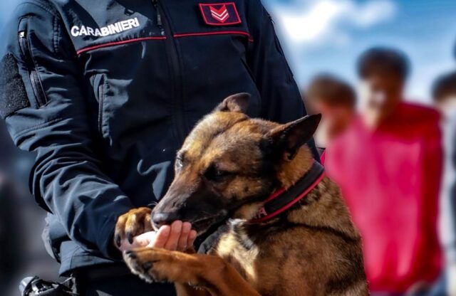 L'immagine attuale non ha un testo alternativo. Il nome del file è: cinofili-carabinieri.jpg