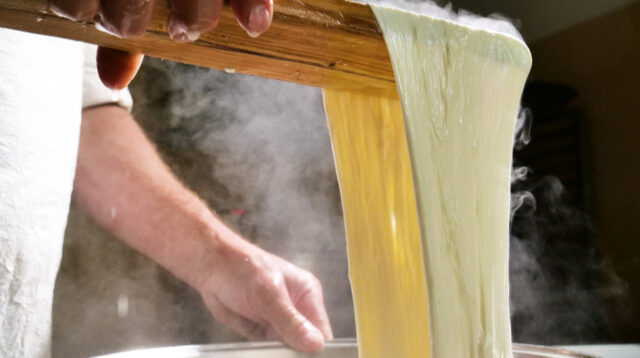 L'immagine attuale non ha un testo alternativo. Il nome del file è: MOZZARELLA.jpg