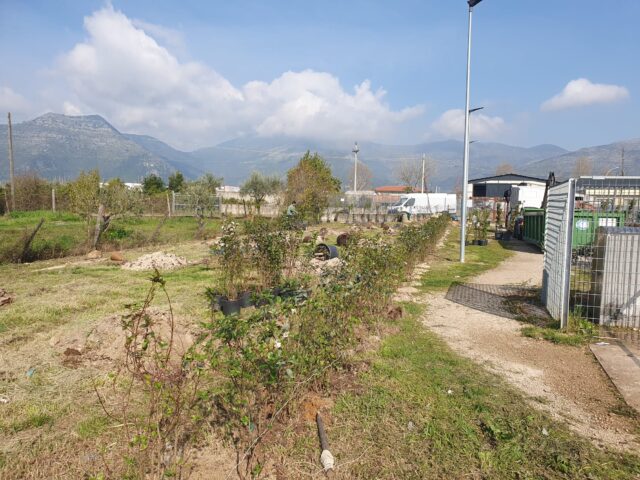 L'immagine attuale non ha un testo alternativo. Il nome del file è: fondi-2.jpeg