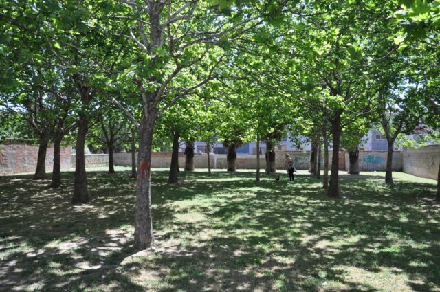 L'immagine attuale non ha un testo alternativo. Il nome del file รจ: platani.jpg