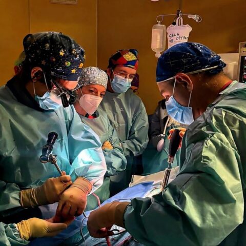 L'immagine attuale non ha un testo alternativo. Il nome del file รจ: ASL.jpg