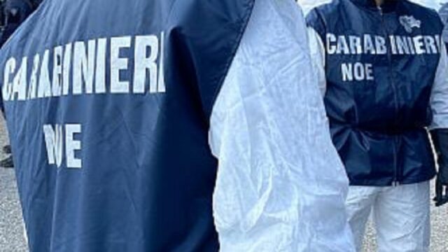 L'immagine attuale non ha un testo alternativo. Il nome del file è: NOE.jpg