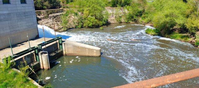 L'immagine attuale non ha un testo alternativo. Il nome del file è: SACCO.jpg