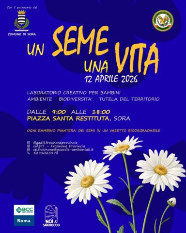 L'immagine attuale non ha un testo alternativo. Il nome del file è: SORA-2.jpg