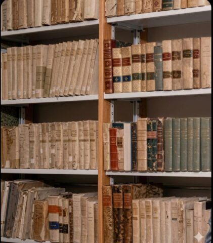 L'immagine attuale non ha un testo alternativo. Il nome del file è: VIZZACCARO.jpg