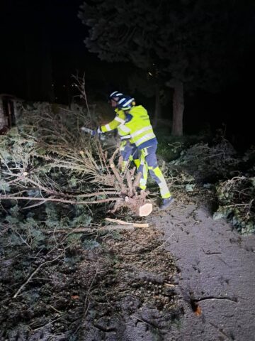 L'immagine attuale non ha un testo alternativo. Il nome del file è: civile.jpg