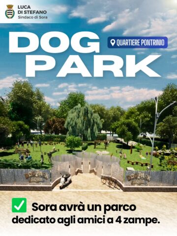 L'immagine attuale non ha un testo alternativo. Il nome del file è: dogpark.jpeg