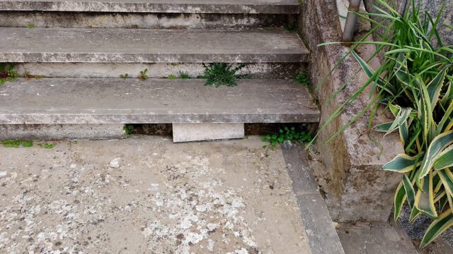 L'immagine attuale non ha un testo alternativo. Il nome del file รจ: fontanaliri.jpg