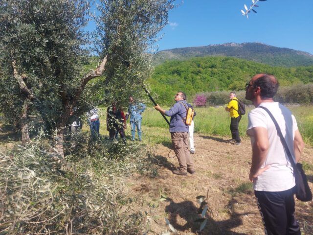 L'immagine attuale non ha un testo alternativo. Il nome del file è: postafibreno.jpeg