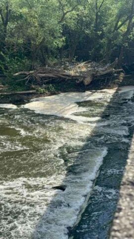 L'immagine attuale non ha un testo alternativo. Il nome del file è: sacco-1.jpg