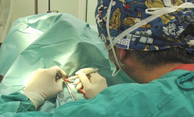 L'immagine attuale non ha un testo alternativo. Il nome del file è: salaoperatoria.jpeg