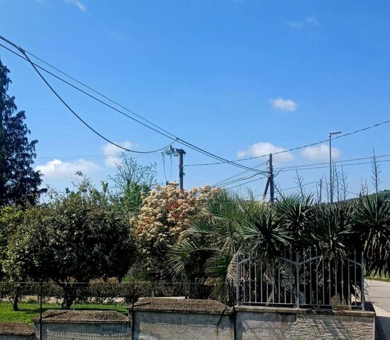 L'immagine attuale non ha un testo alternativo. Il nome del file è: sangiorgio2.jpg